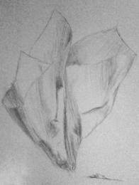 Paper Flower Picture